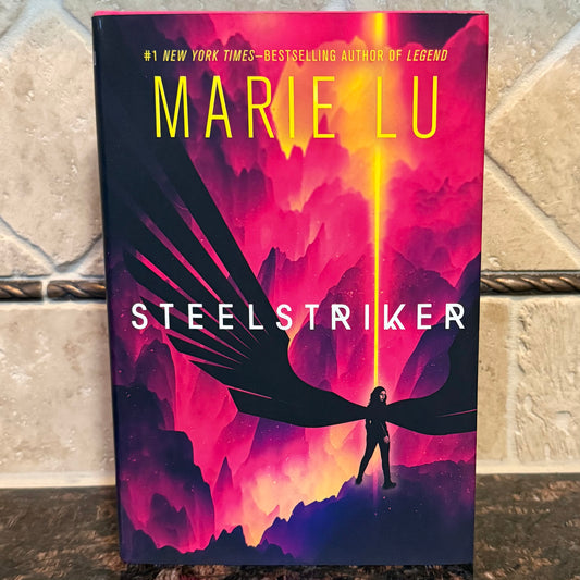Steelstriker (Hardcover) Skyhunter Duology Book 2 - B Stock