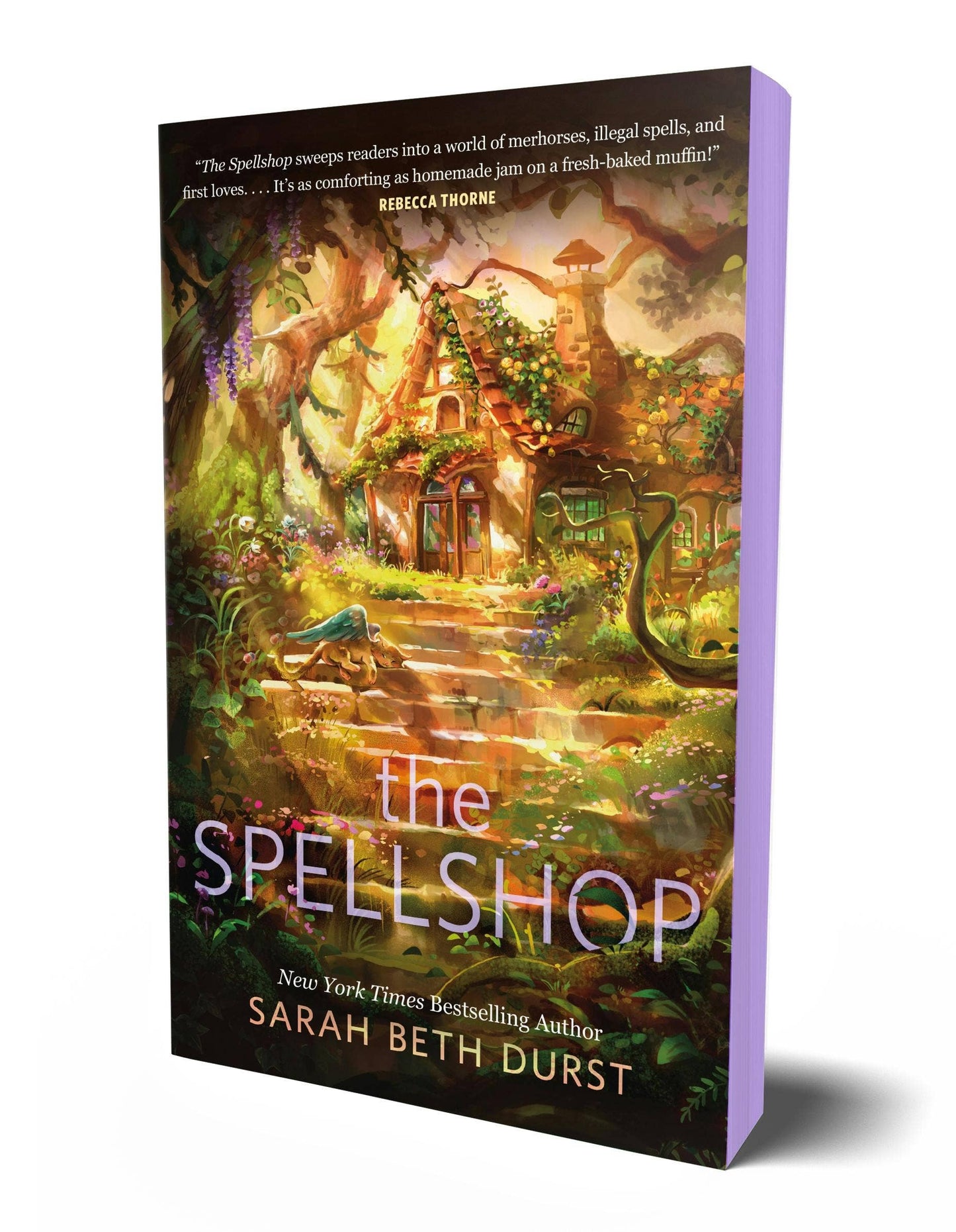 The Spellshop (Paperback with Sprayed Edges) The Spellshop Series Book 1