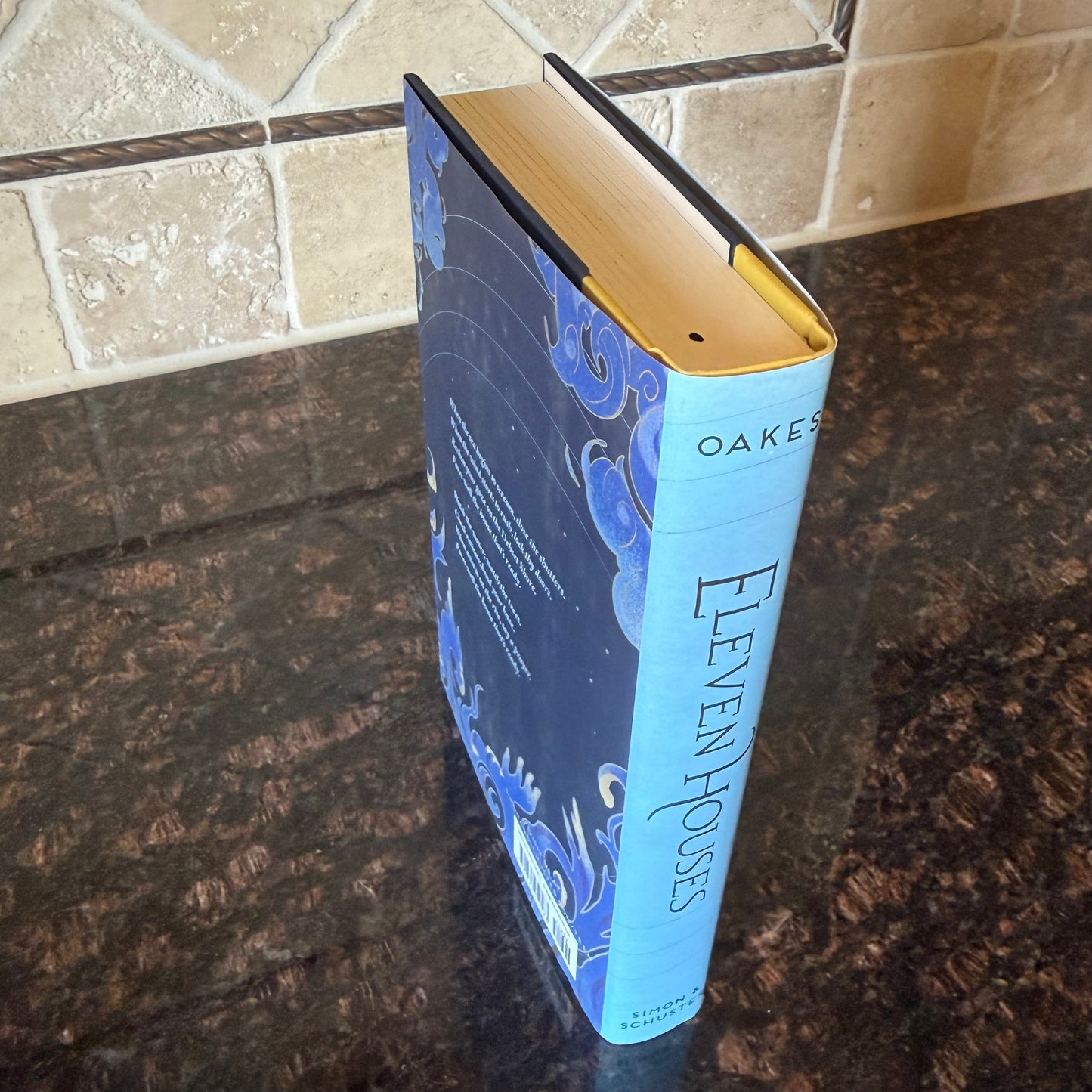 Eleven Houses (Hardcover) - B Stock