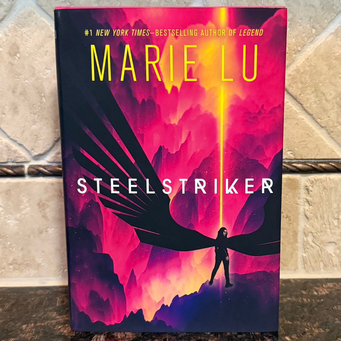 Steelstriker (Hardcover) Skyhunter Duology Book 2 - B Stock