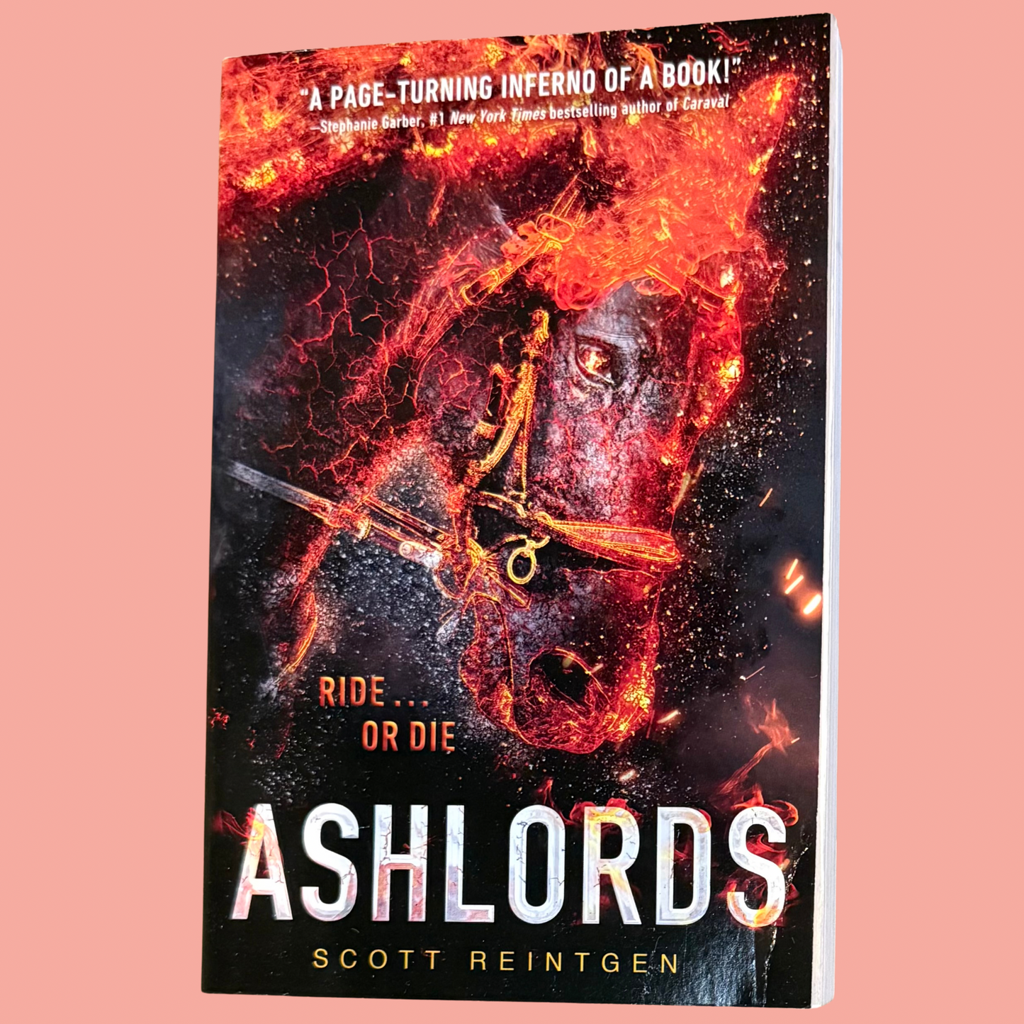 Ashlords (Paperback) Ashlords Book 1 - B Stock
