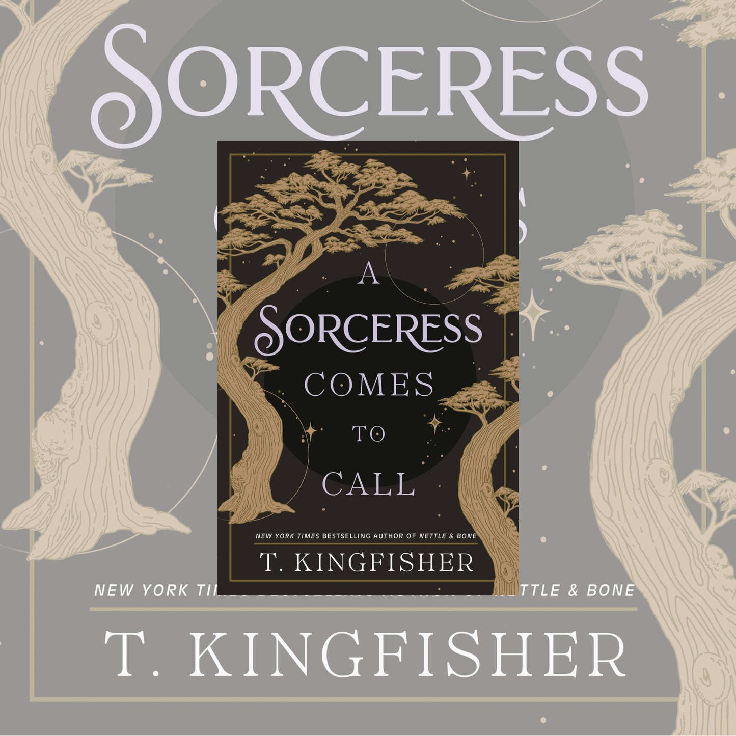Sorceress Comes To Call (Hardcover)